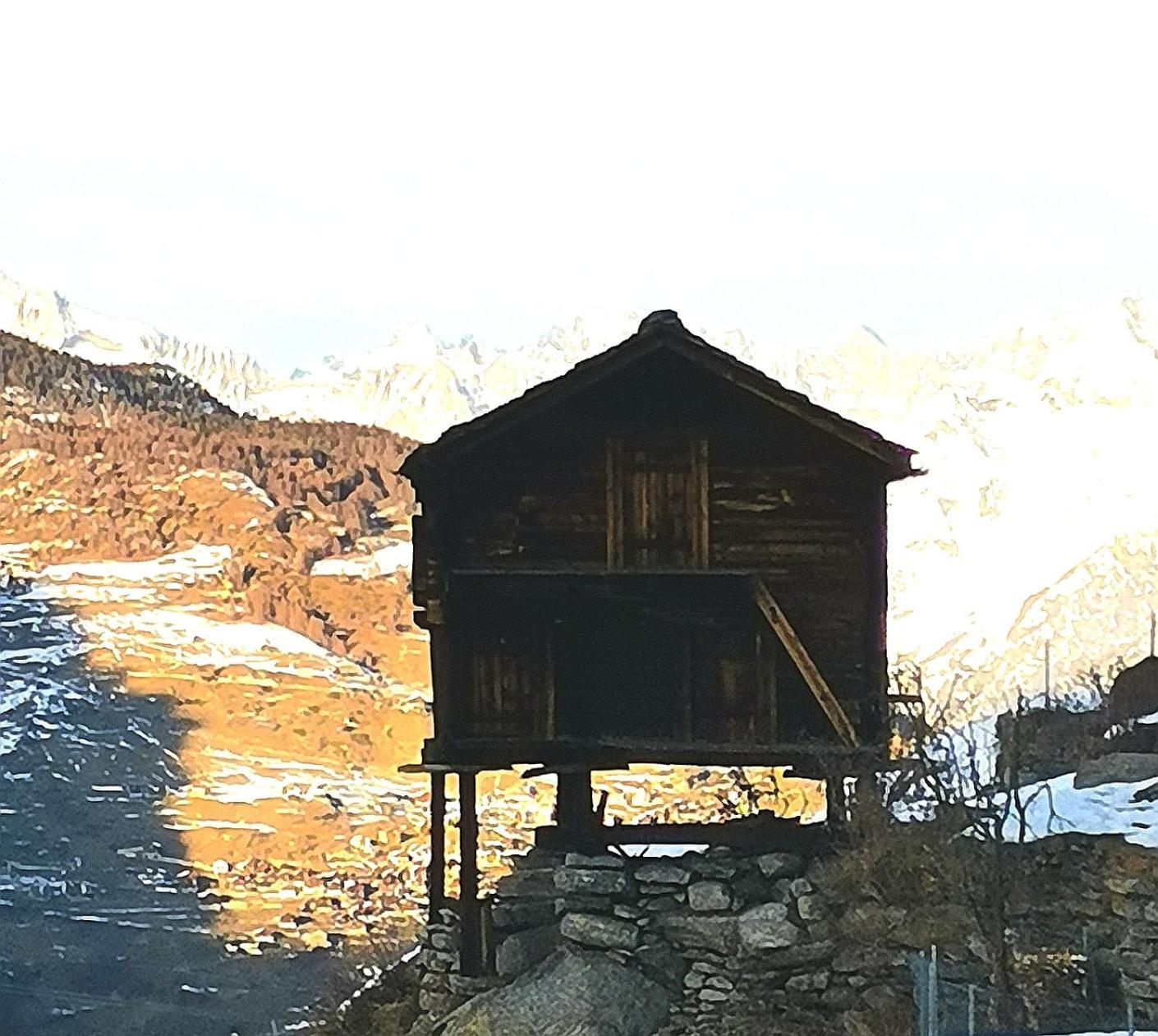 Hotel Alpina Grächen Zewnętrze zdjęcie